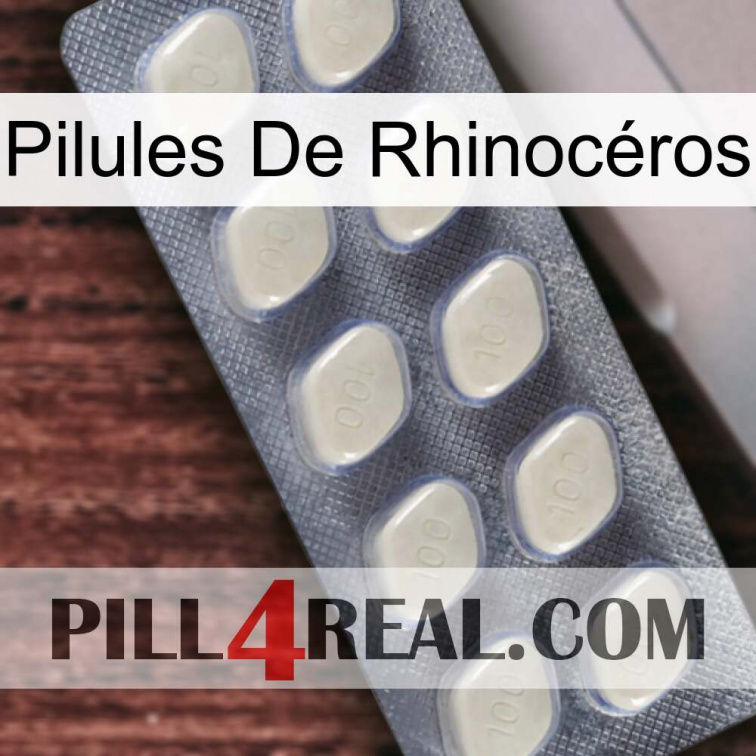 Pilules De Rhinocéros 08
